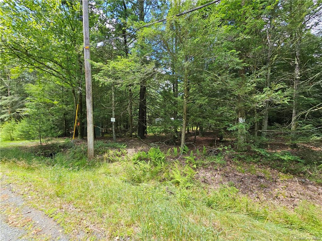 Land Barker/rowley  Sullivan, NY 12528, MLS-H6257962-11