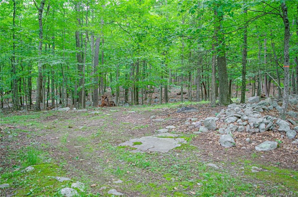 Land Mountain  Ulster, NY 12525, MLS-H6197967-11