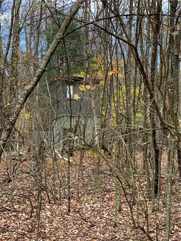 Land Big Woods  Sullivan, NY 12472, MLS-H6274967-11