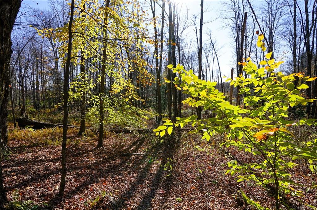 Land Amber Lake  Sullivan, NY 12758, MLS-H6150969-11