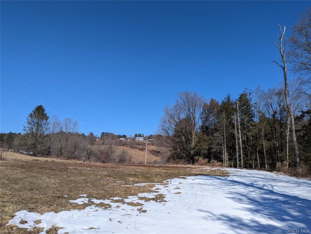 Land Likel  Sullivan, NY 12748, MLS-H6238970-11