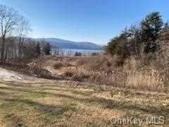 Land Mill  Dutchess, NY 12572, MLS-H6279982-11