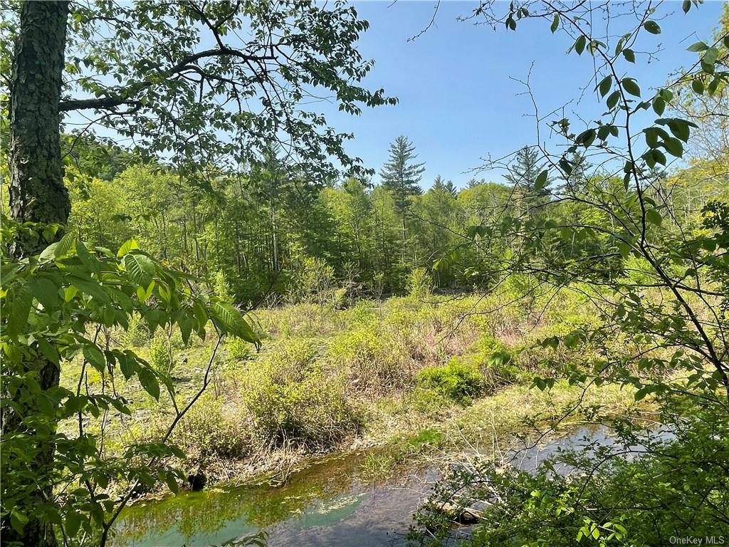 Land Creek Side  Ulster, NY 12480, MLS-H6228986-11