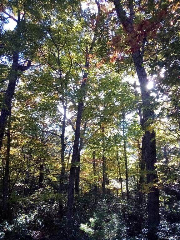 Land Mount Vernon  Sullivan, NY 12790, MLS-H6215998-11