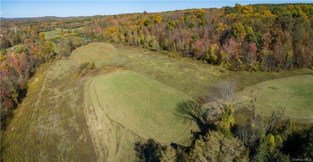 Land Traver  Dutchess, NY 12569, MLS-H6272015-12