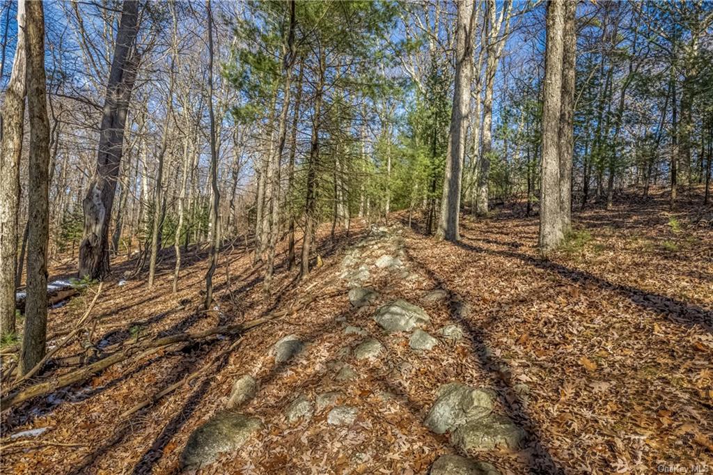 Land Vista Maria/cragsmoor  Ulster, NY 12420, MLS-H6223069-12