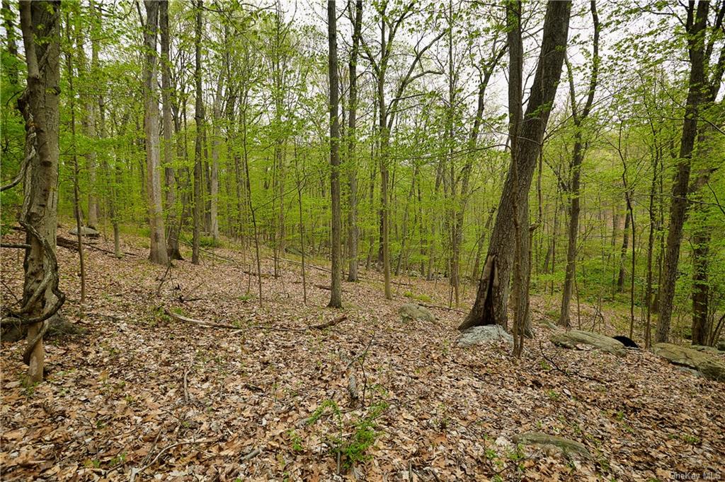 Land Pierson Lakes  Rockland, NY 10974, MLS-H6246069-12