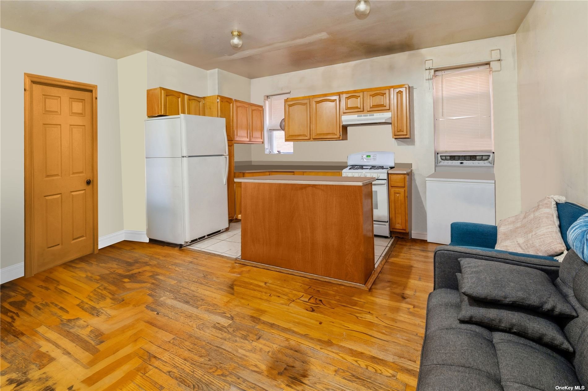 Four Family 52nd  Brooklyn, NY 11203, MLS-3513088-12