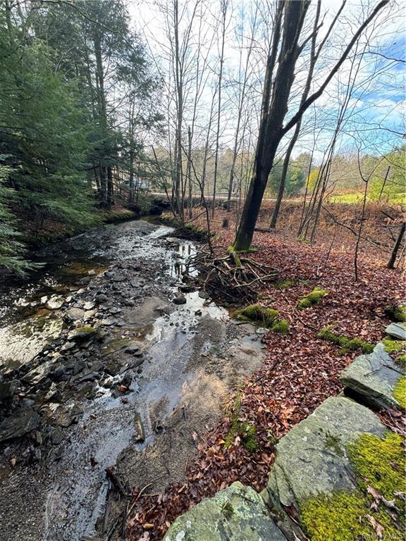 Land Tbd Clark Road Tr 21  Sullivan, NY 12733, MLS-H6280144-12