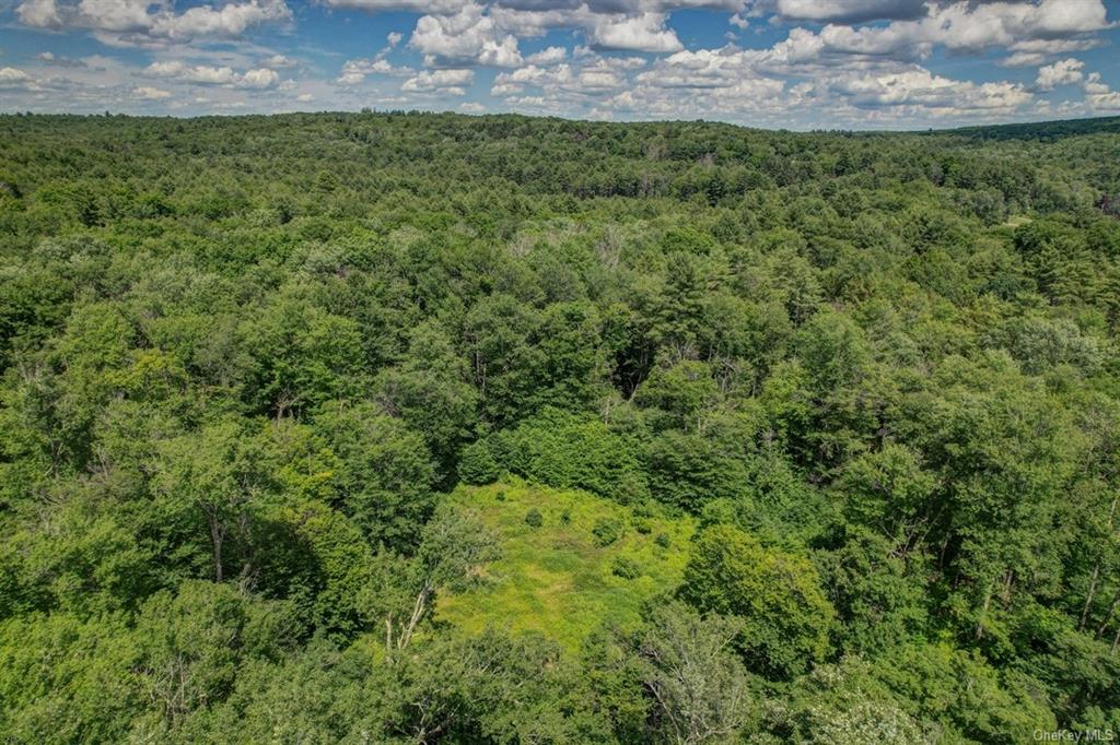 Land N/s French Clearing  Sullivan, NY 12777, MLS-H6195187-12