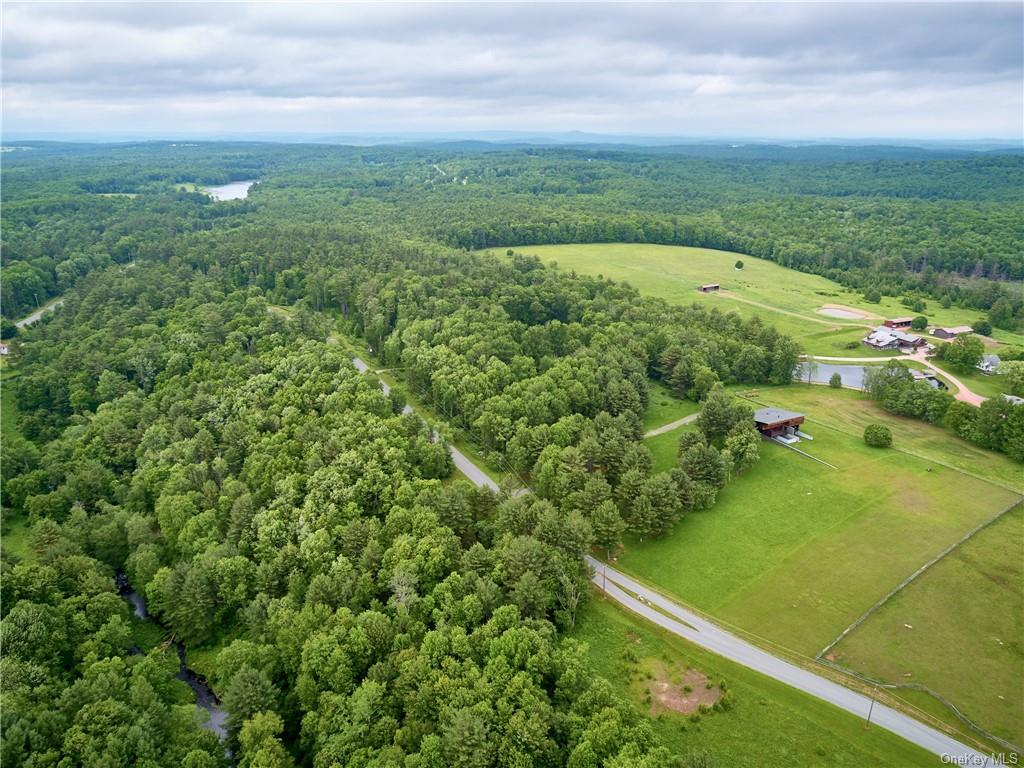 Land Chapin  Sullivan, NY 12720, MLS-H6204195-12