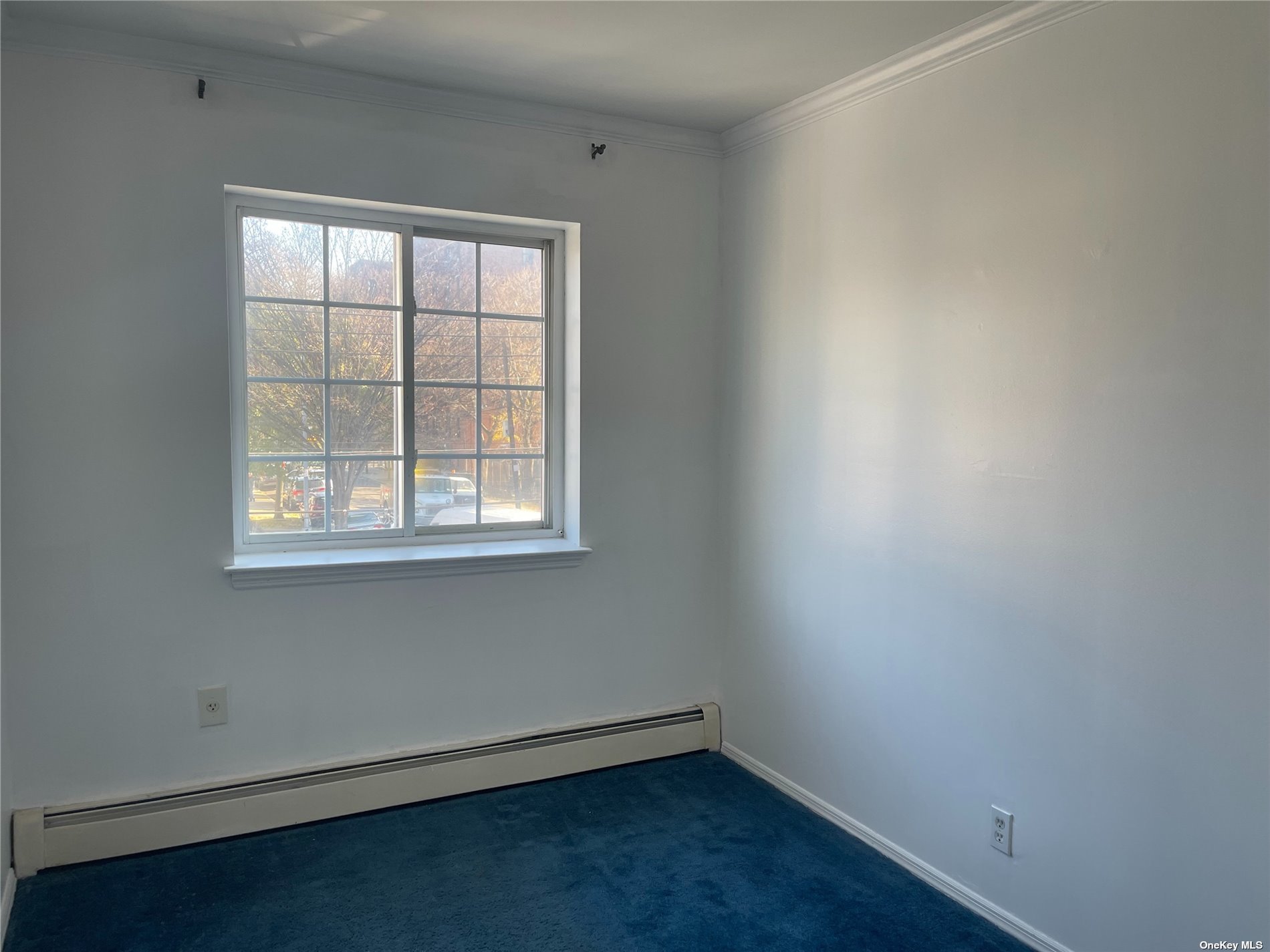 Apartment 168th  Queens, NY 11432, MLS-3518239-12