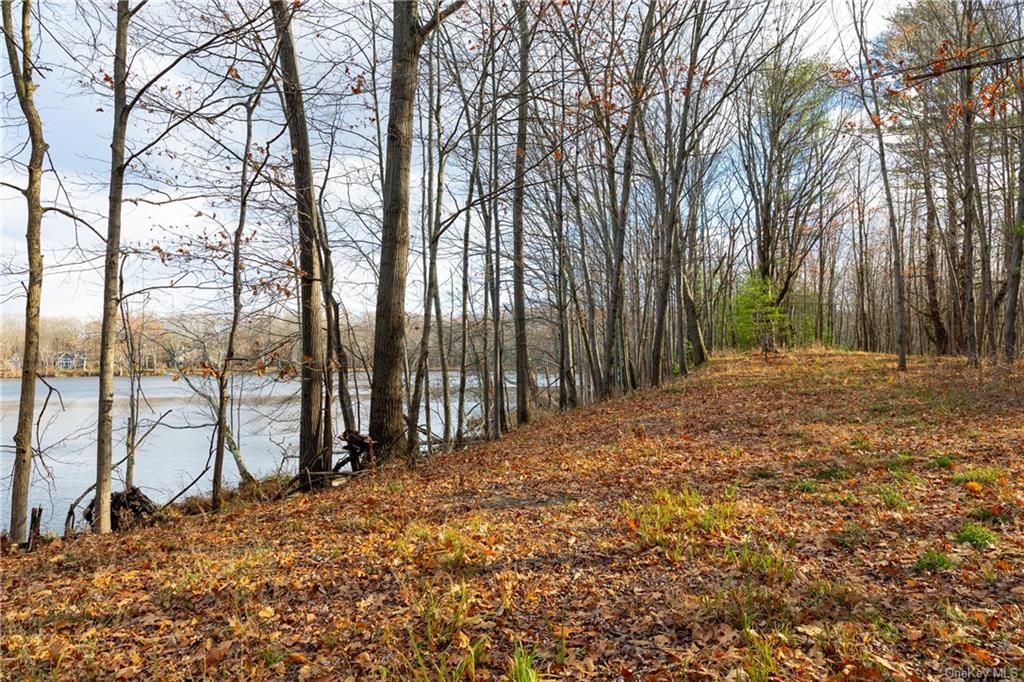 Land Lake  Dutchess, NY 12567, MLS-H6280278-12