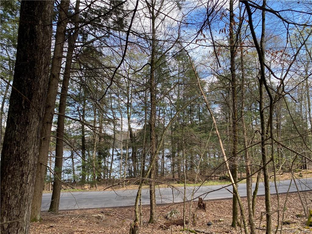 Land Lakeshore  Sullivan, NY 12778, MLS-H6202359-12