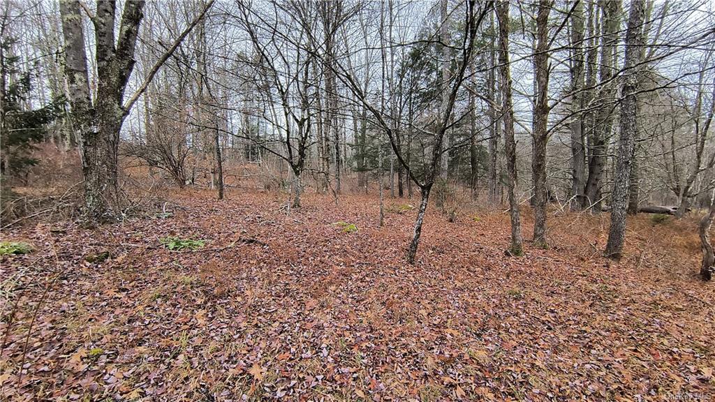 Land New Turnpike A  Sullivan, NY 12726, MLS-H6281364-12