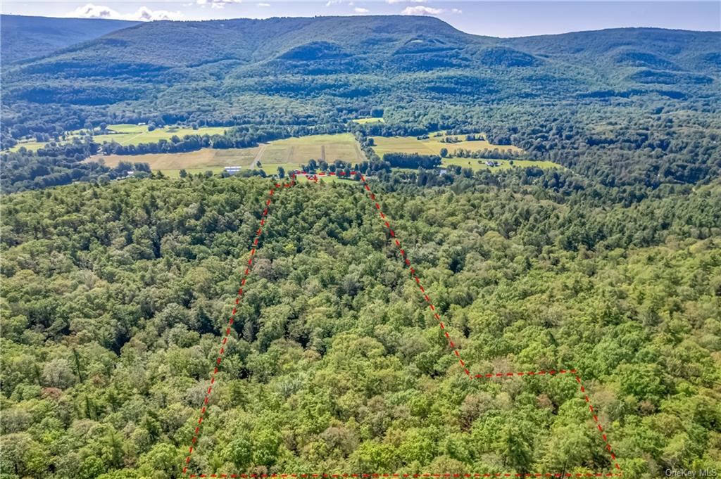 Land Route 209  Ulster, NY 12428, MLS-H6262369-12