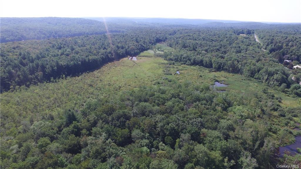 Land Heiden  Sullivan, NY 12733, MLS-H6212378-12