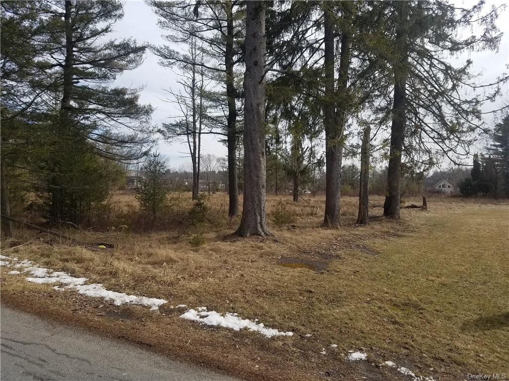 Land Lanahan  Sullivan, NY 12701, MLS-H6239382-12