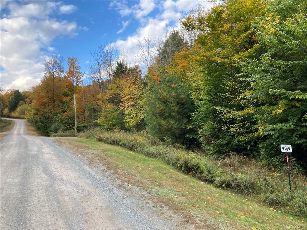 Land Kenoza  Sullivan, NY 12750, MLS-H6271468-12