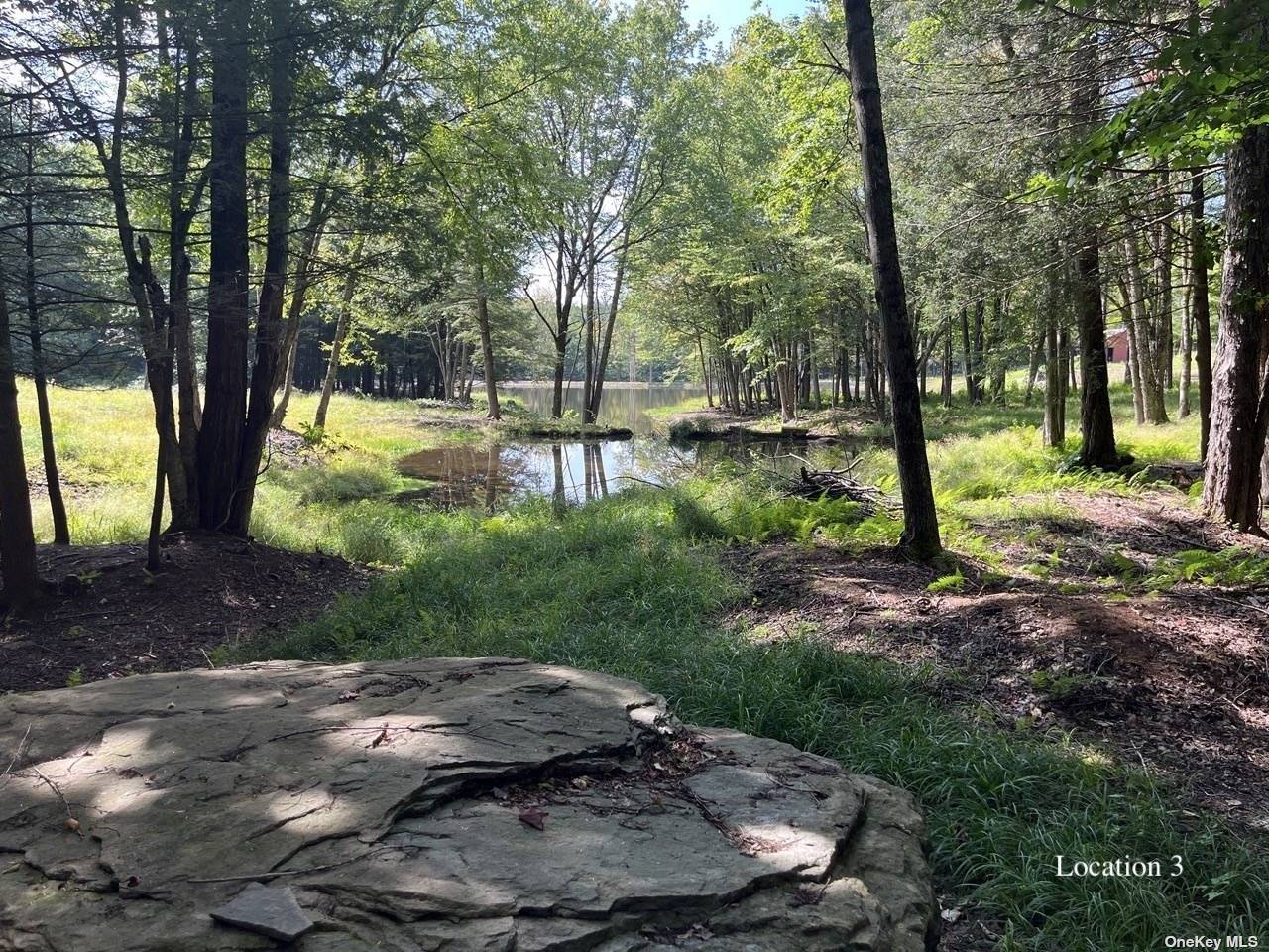 Land Tanzman  Sullivan, NY 12768, MLS-3506472-12