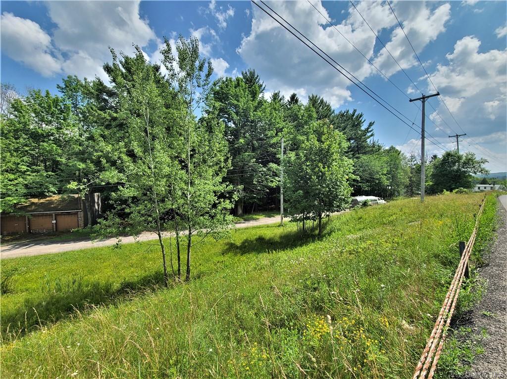 Land Interstate 86 Access Road/ Sheehan  Sullivan, NY 12754, MLS-H6257500-12