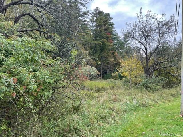 Land Chapin  Sullivan, NY 12720, MLS-H6273528-12