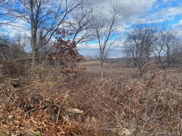 Land Us Highway 9w  Ulster, NY 12528, MLS-H6279528-12