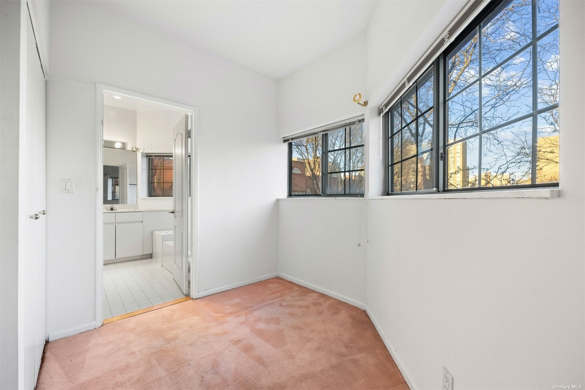 Condo Louisiana  Brooklyn, NY 11239, MLS-3519557-12