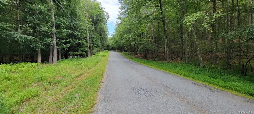 Land Hawks Nest  Out Of Area, NY 18428, MLS-H6265593-12