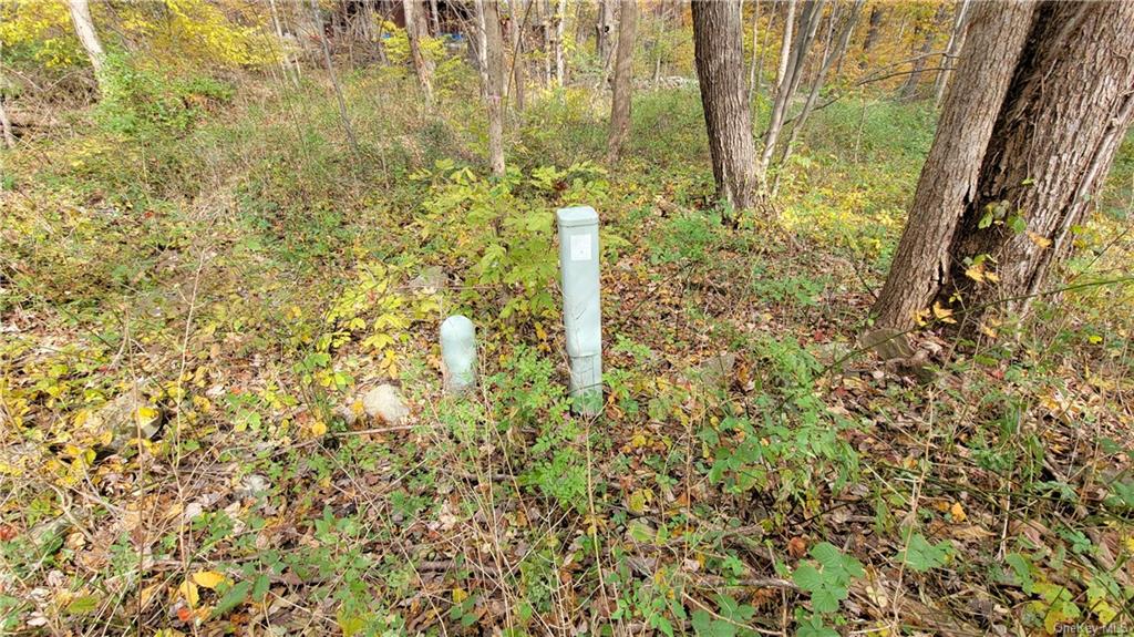 Land Western  Orange, NY 12586, MLS-H6275607-12