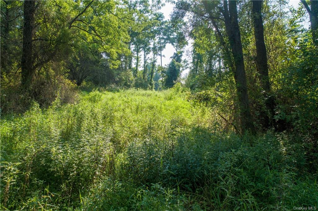 Land Ravine  Dutchess, NY 12564, MLS-H6072629-12