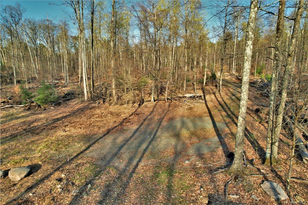 Land Plank  Sullivan, NY 12777, MLS-H6266634-12