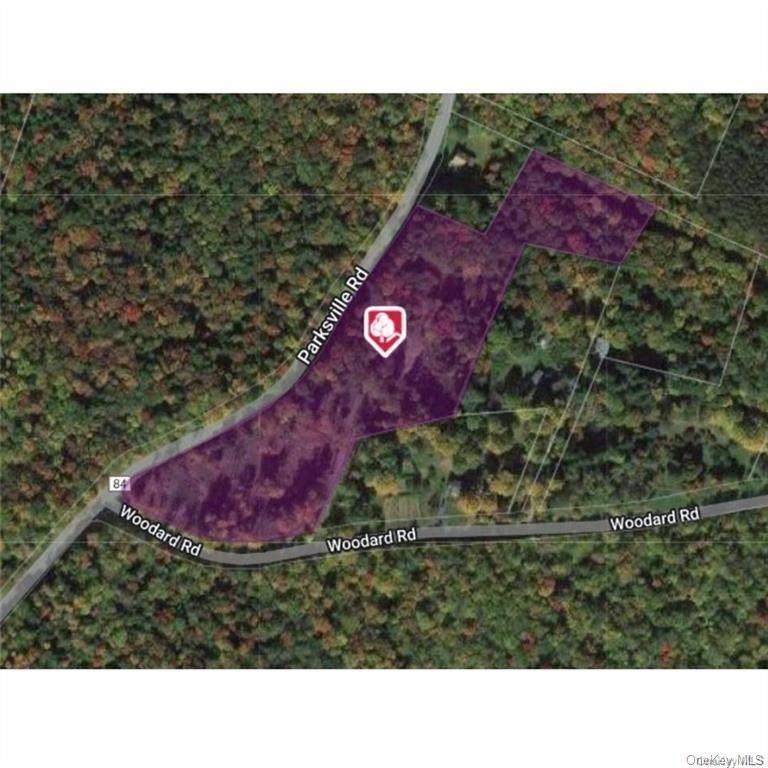 Land Woodard  Sullivan, NY 12768, MLS-H6258638-12