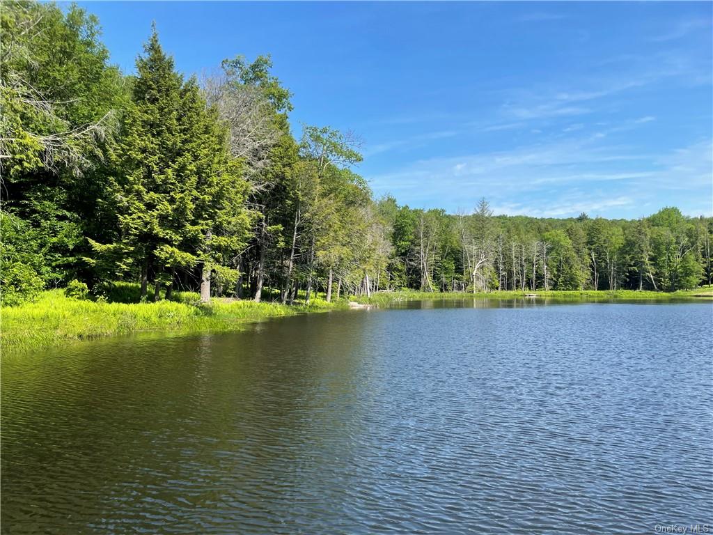 Land Eagles Ridge  Sullivan, NY 12768, MLS-H6123686-12