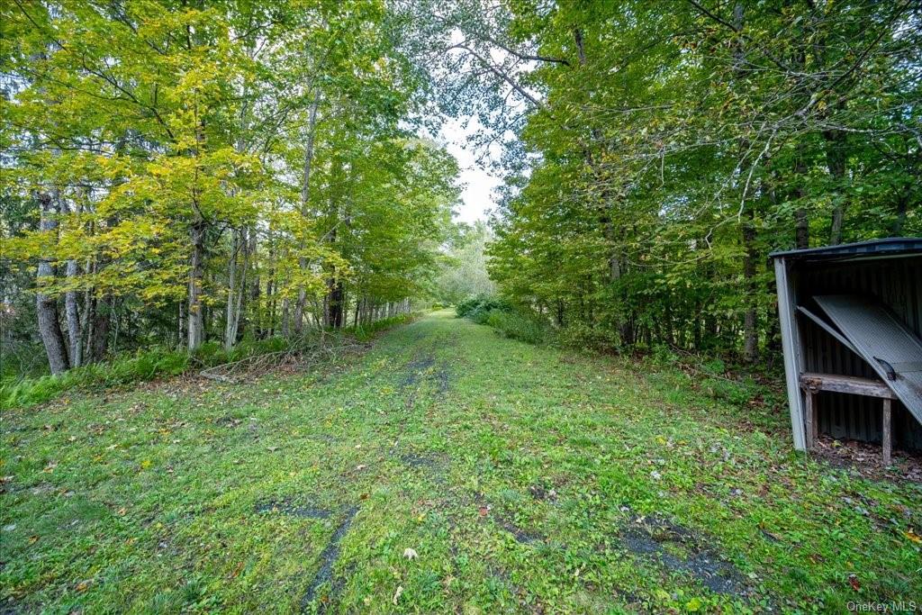 Land Old Liberty  Sullivan, NY 12758, MLS-H6269690-12