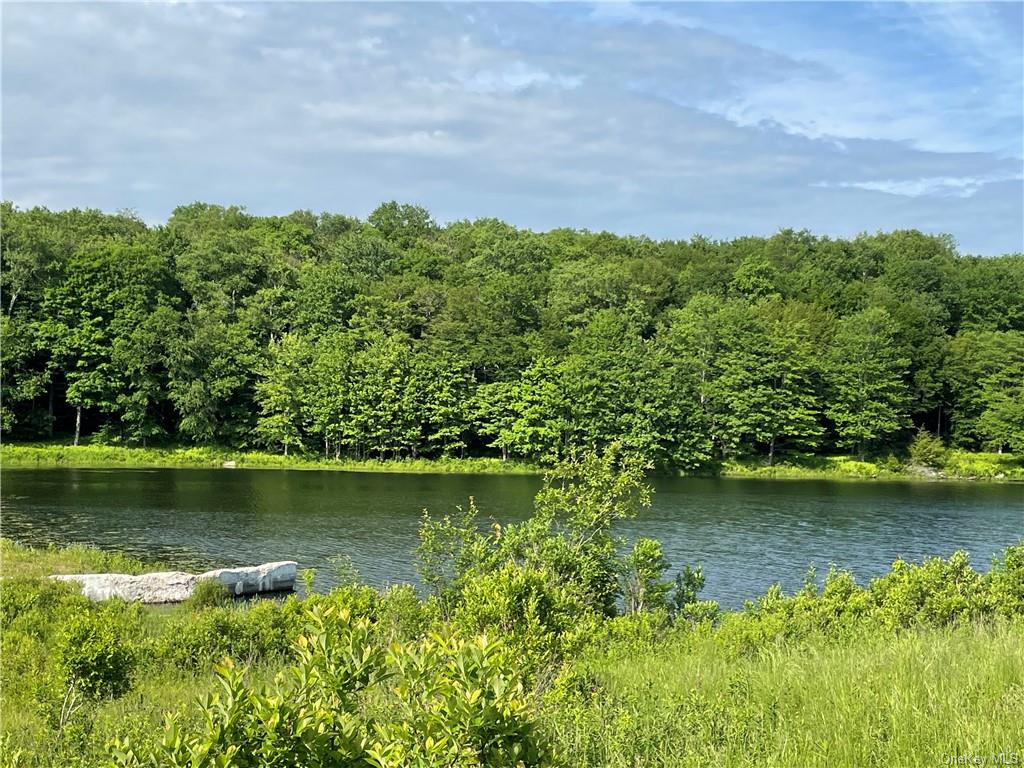 Land Tanzman  Sullivan, NY 12768, MLS-H6123698-12