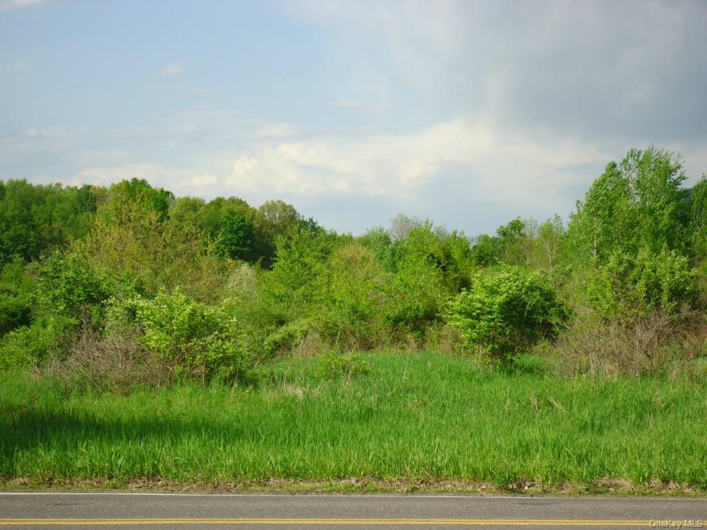 Land Crescent/pancake Hollow  Ulster, NY 12528, MLS-H6259698-12