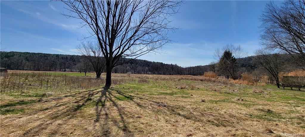 Land Cochecton  Sullivan, NY 12726, MLS-H6177700-12