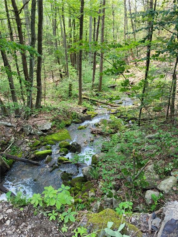Land Old Plank  Ulster, NY 12420, MLS-H6180707-12