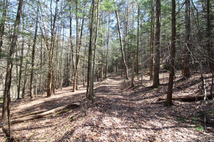 Land Cattail  Sullivan, NY 12758, MLS-H6244708-12