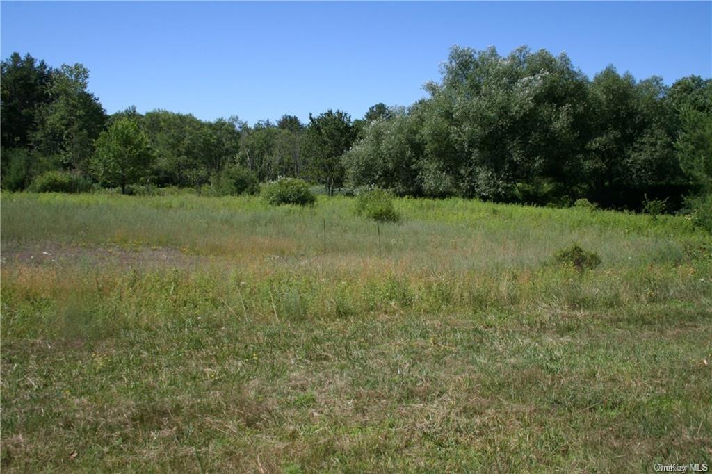 Land Nys Route 17b  Sullivan, NY 12701, MLS-H6273719-12