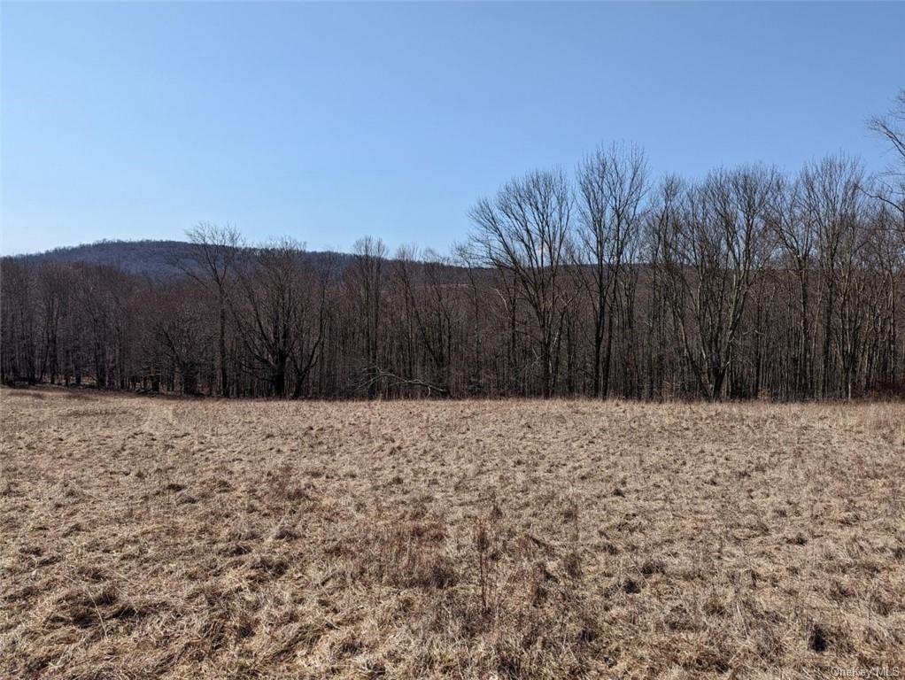 Land 0 Buck Brook Rd Tr10  Sullivan, NY 12736, MLS-H6172755-12