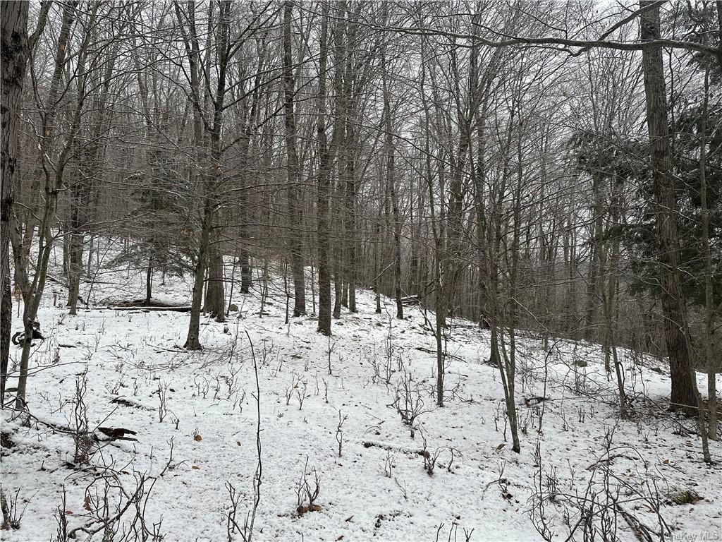 Land Grooville  Sullivan, NY 12758, MLS-H6233770-12