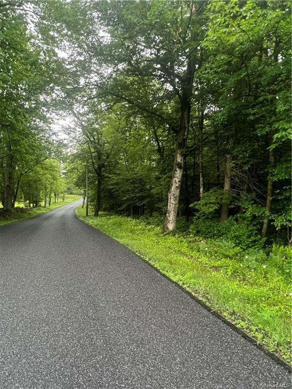 Land Big Hollow  Sullivan, NY 12765, MLS-H6256806-12