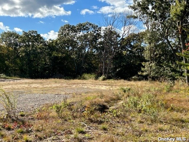 Land Yaphank  Suffolk, NY 11763, MLS-3510812-12