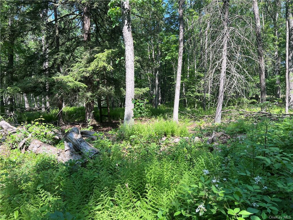 Land Gables  Sullivan, NY 12764, MLS-H6252813-12