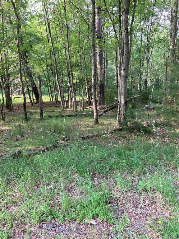 Land Nys Hwy 55  Sullivan, NY 12720, MLS-H6255816-12