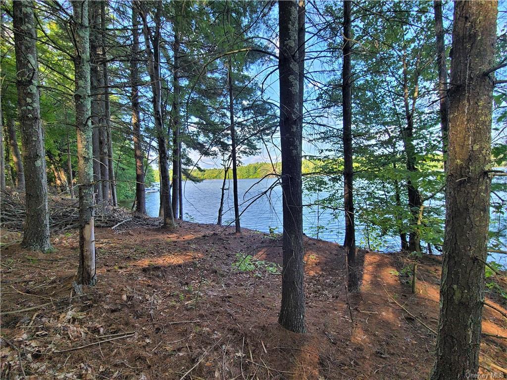 Land Woodstone  Sullivan, NY 12786, MLS-H6267818-12