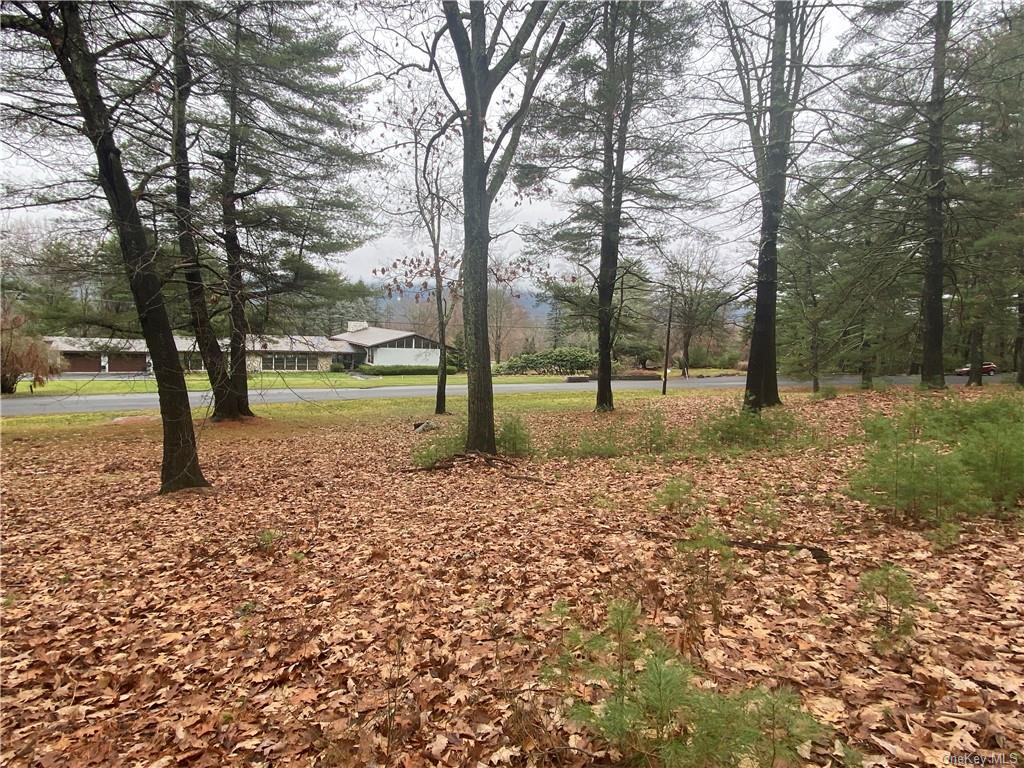 Land Diane  Ulster, NY 12428, MLS-H6223846-12