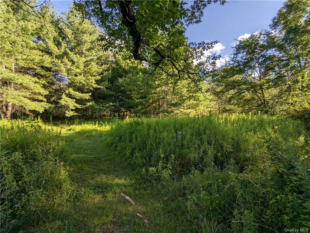 Land Berme  Ulster, NY 12446, MLS-H6262875-12